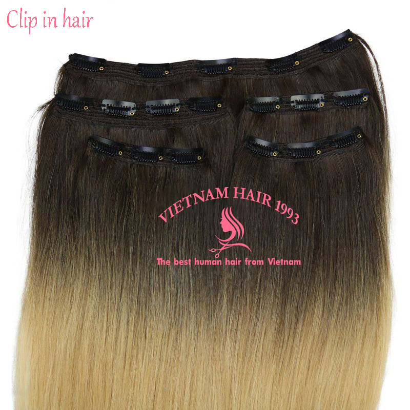 clip in hair extensions hight light