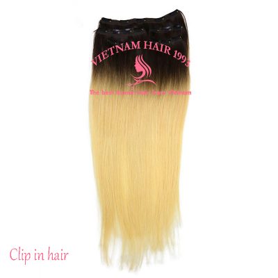 Clip in hair extensions hight light