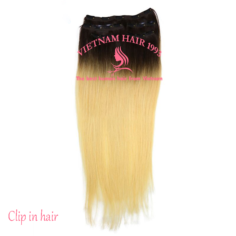Clip in hair extensions Clip in hair extensions hight light
