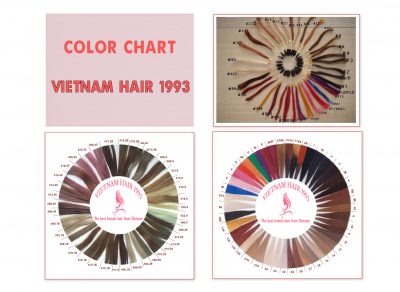 vietnam hair 1993 color chart