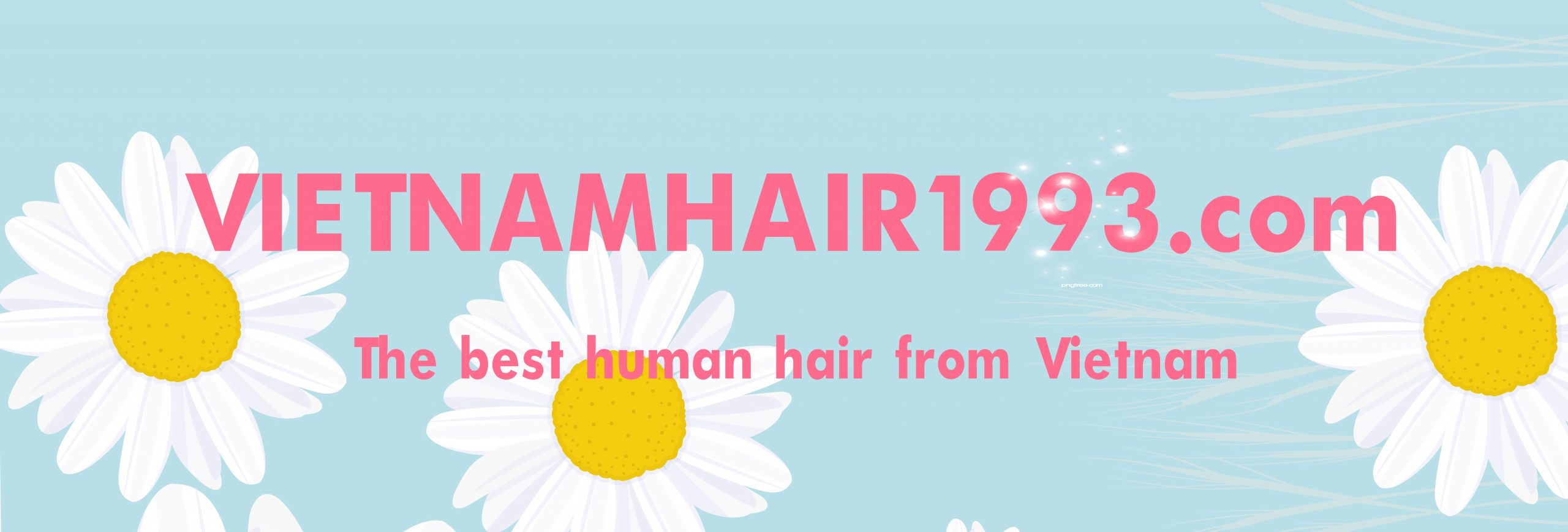 VIETNAM HAIR 1993