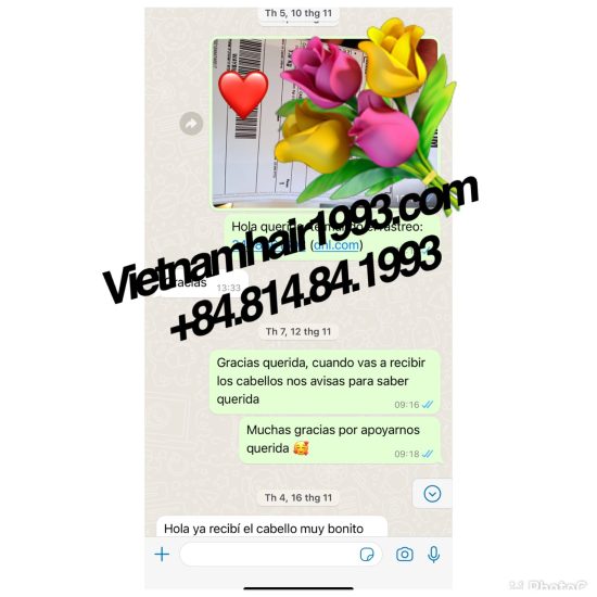 Proveedor del pelo humano