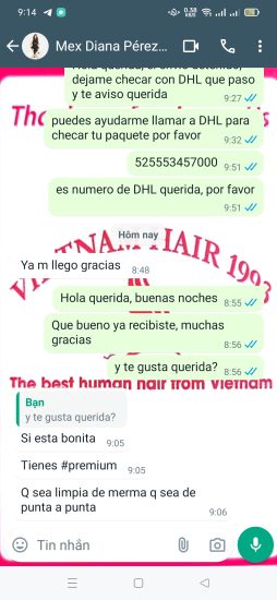 DIANA – MEXICO